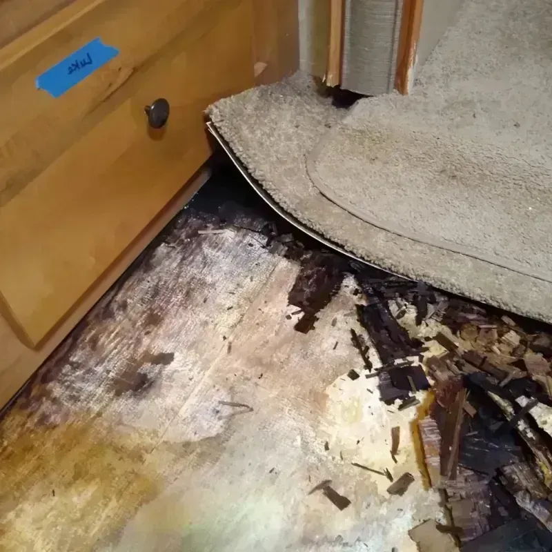 Best Wood Floor Water Damage Service in Big Lake, MN